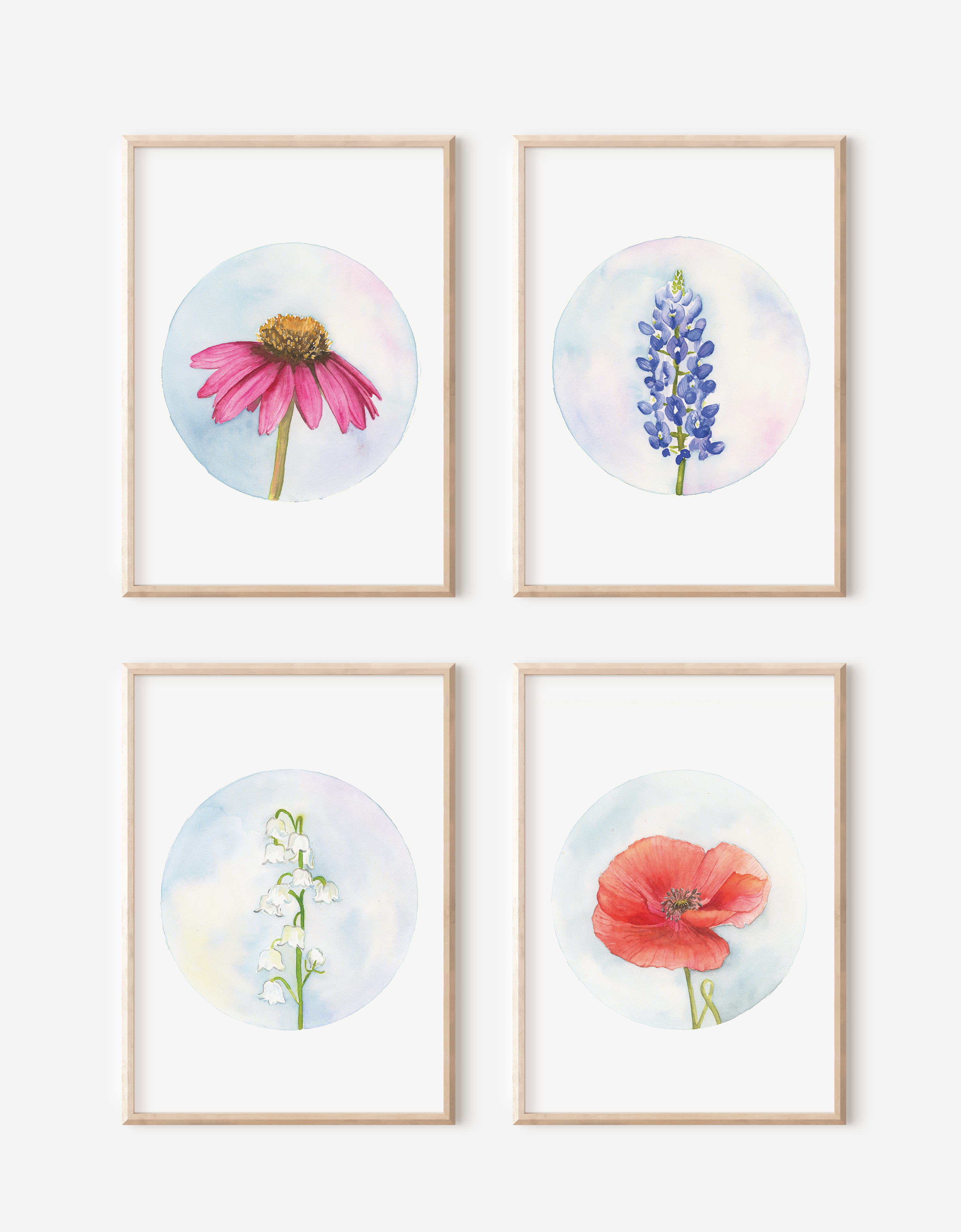 Texas Wildflowers Collection