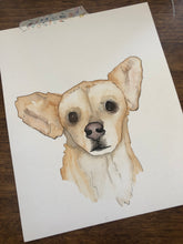 Load image into Gallery viewer, Custom Watercolor Animals and Pets
