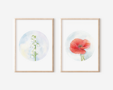 Load image into Gallery viewer, Poppy | Texas Wildflowers Art Print | Pre-Order
