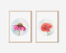 Load image into Gallery viewer, Poppy | Texas Wildflowers Art Print | Pre-Order
