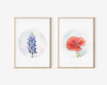 Load image into Gallery viewer, Poppy | Texas Wildflowers Art Print | Pre-Order
