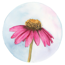 Load image into Gallery viewer, Wildflower Collection Sticker
