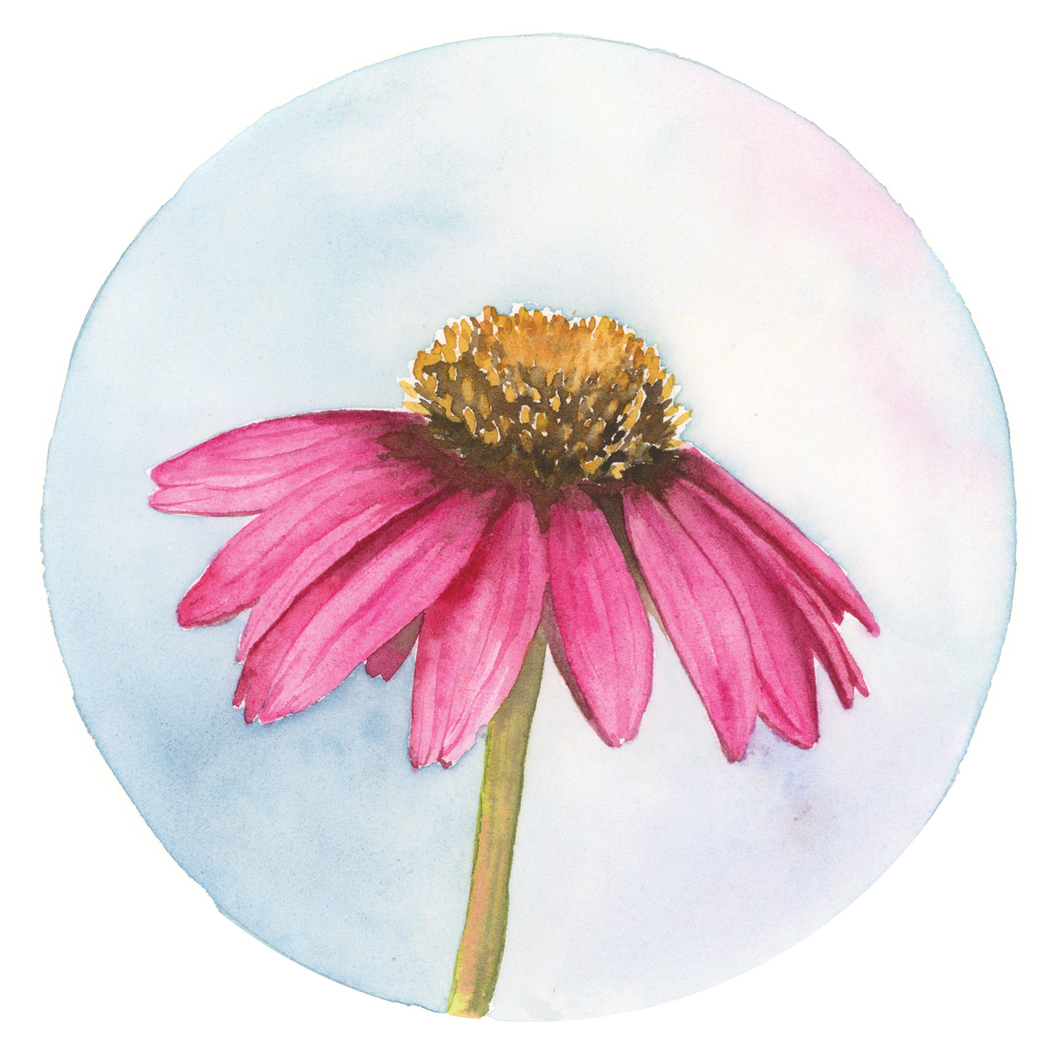 Wildflower Collection Sticker