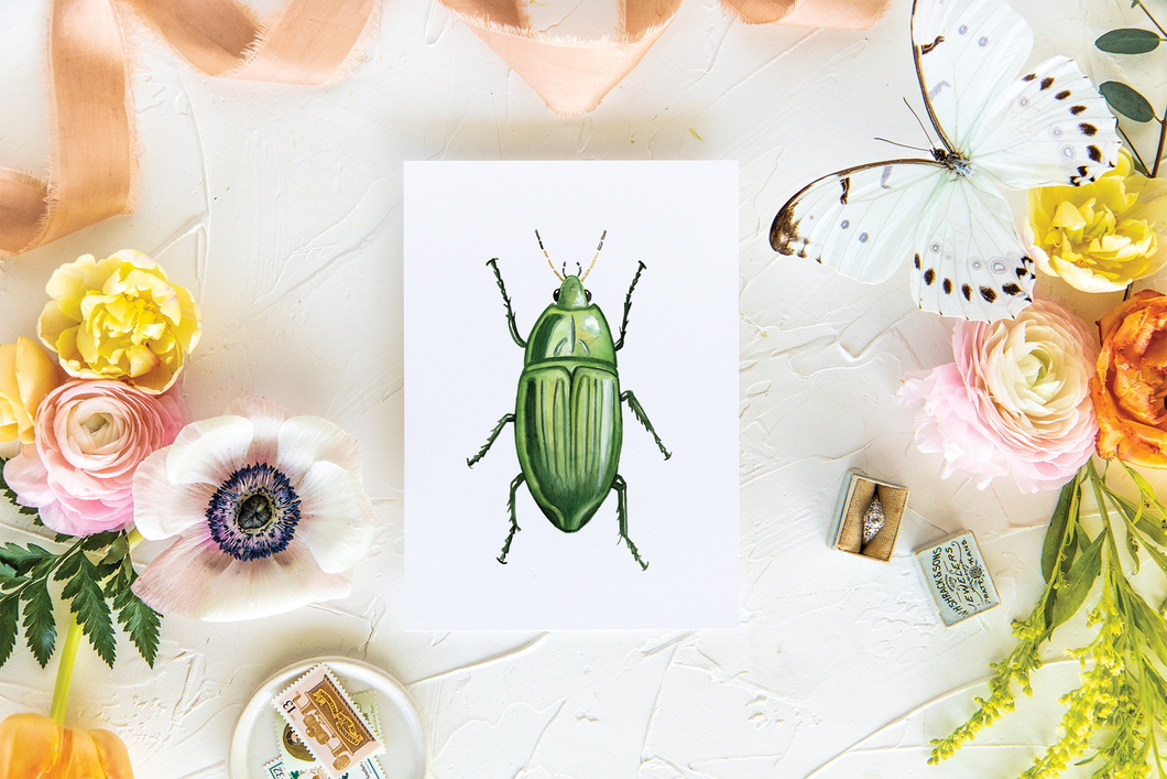 Jewel Beetle Folded Card | Pre-Order