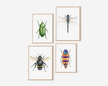 Load image into Gallery viewer, Dragonfly Art Print | Pre-Order
