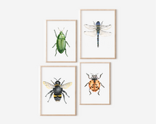 Load image into Gallery viewer, Lady Beetle Art Print | Pre-Order
