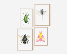 Load image into Gallery viewer, Pink Moth Art Print | Pre-Order
