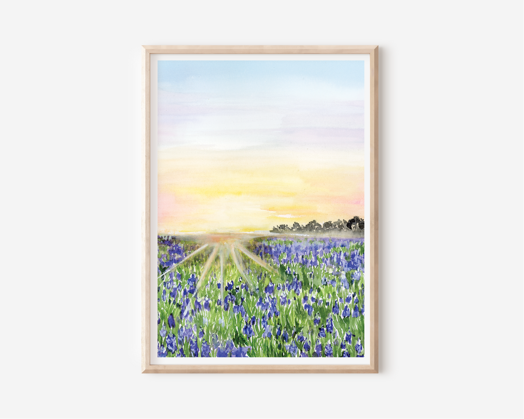 Texas Bluebonnets Art Print | Pre-Order