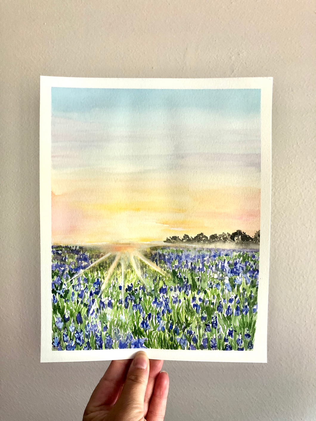 Original Artwork | Texas Bluebonnets