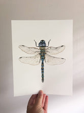 Load image into Gallery viewer, Original Artwork | Dragonfly
