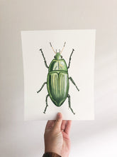 Load image into Gallery viewer, Original Artwork | Jewel Beetle
