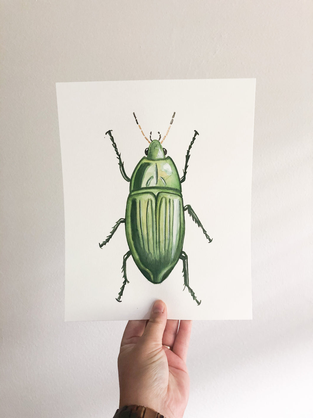 Original Artwork | Jewel Beetle