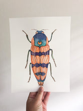 Load image into Gallery viewer, Original Artwork | Orange Beetle
