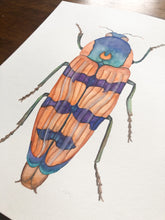 Load image into Gallery viewer, Original Artwork | Orange Beetle
