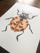 Load image into Gallery viewer, Original Artwork | Lady Beetle
