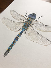 Load image into Gallery viewer, Original Artwork | Dragonfly
