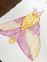 Load image into Gallery viewer, Original Artwork | Pink Moth
