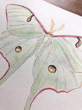 Load image into Gallery viewer, Original Artwork | Luna Moth
