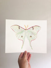 Load image into Gallery viewer, Original Artwork | Luna Moth
