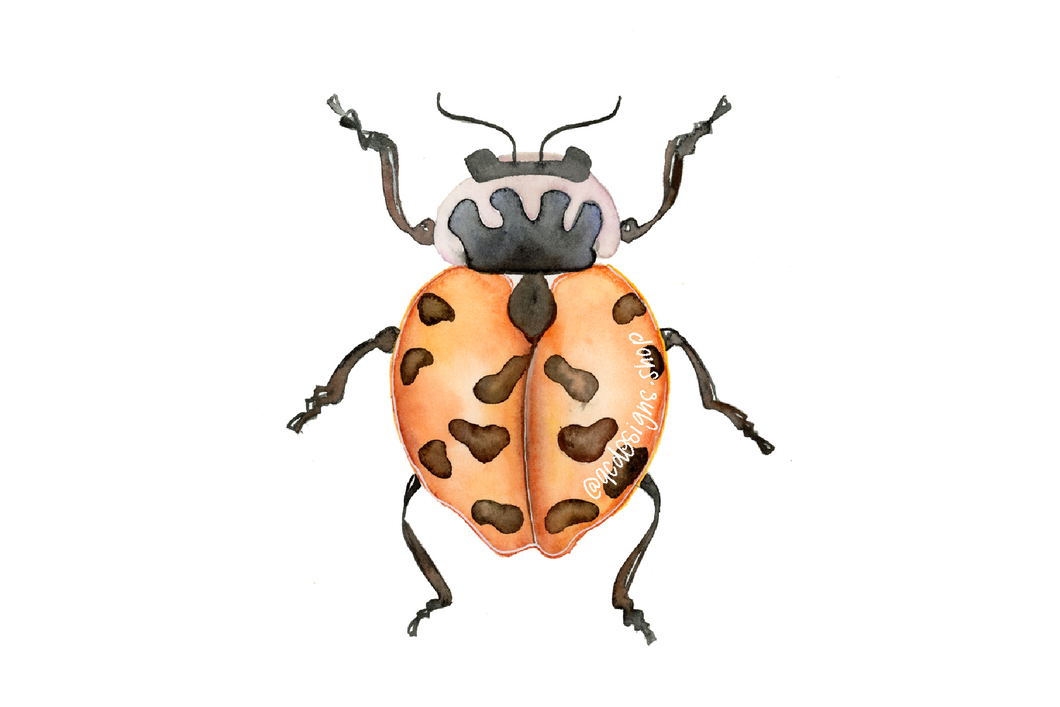 The Bug Collection Sticker