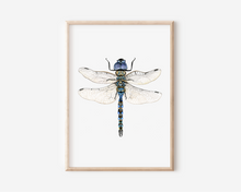 Load image into Gallery viewer, Dragonfly Art Print | Pre-Order
