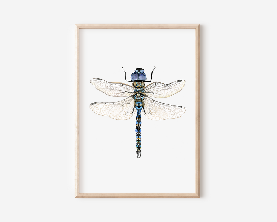 Dragonfly Art Print | Pre-Order