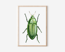 Load image into Gallery viewer, Jewel Beetle Art Print | Pre-Order
