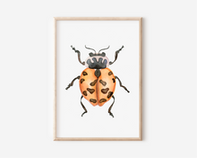 Load image into Gallery viewer, Lady Beetle Art Print | Pre-Order
