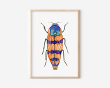 Load image into Gallery viewer, Orange Beetle Art Print | Pre-Order
