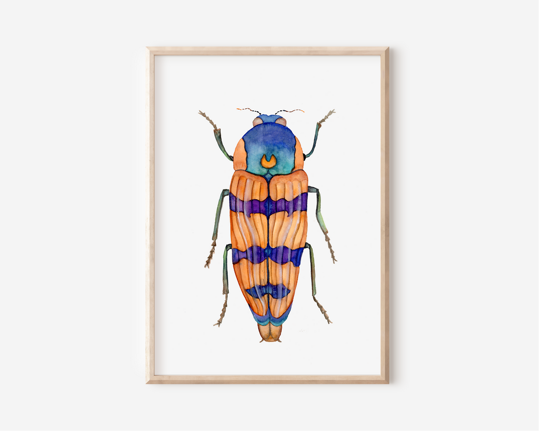 Orange Beetle Art Print | Pre-Order