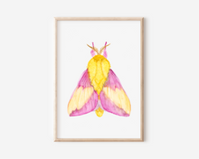 Load image into Gallery viewer, Pink Moth Art Print | Pre-Order
