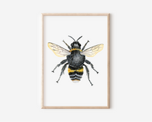 Load image into Gallery viewer, Bee Art Print | Pre-Order
