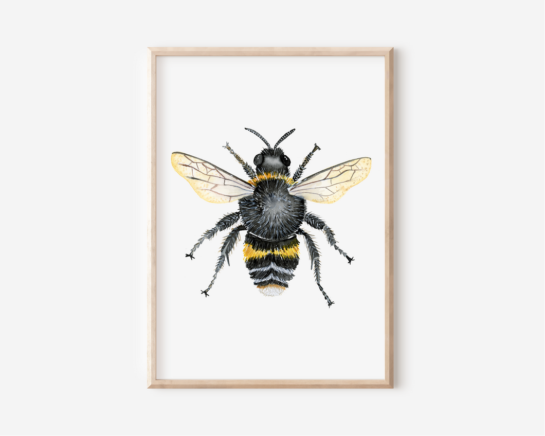 Bee Art Print | Pre-Order