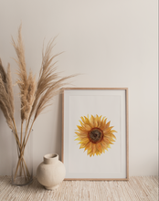 Load image into Gallery viewer, Sunflower Print | Pre-Order
