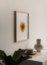 Load image into Gallery viewer, Sunflower Print | Pre-Order
