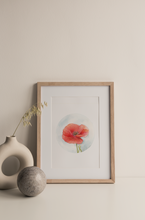 Load image into Gallery viewer, Poppy | Texas Wildflowers Art Print | Pre-Order
