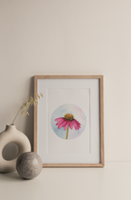 Load image into Gallery viewer, Coneflower | Texas Wildflowers Art Print | Pre-Order
