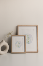 Load image into Gallery viewer, Lily of the Valley | Texas Wildflowers Art Print | Pre-Order
