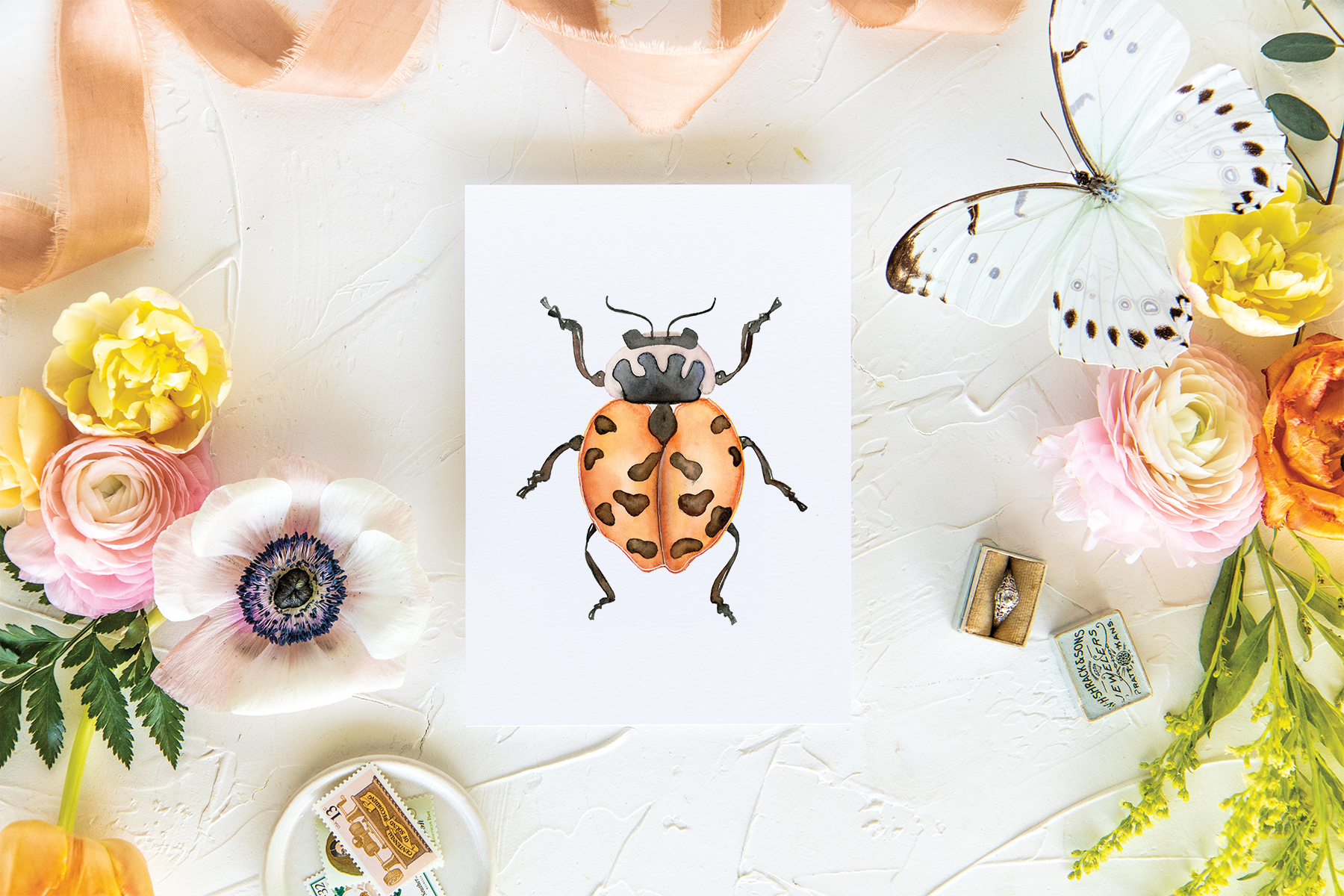 Lady Beetle Folded Card | Pre-Order
