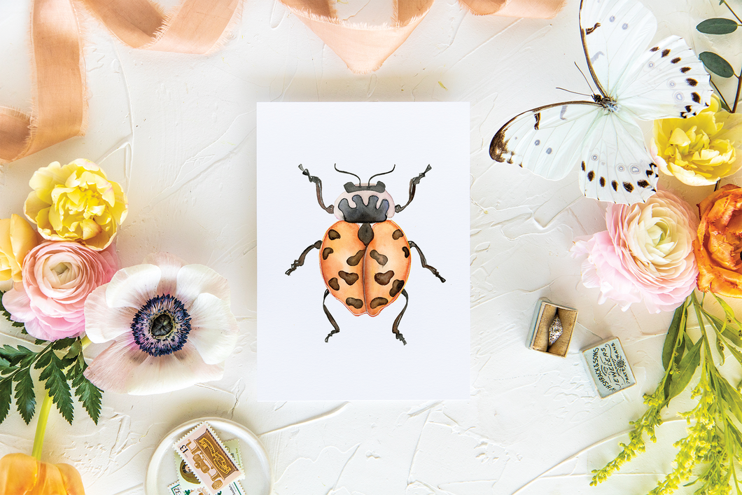 Lady Beetle Folded Card | Pre-Order