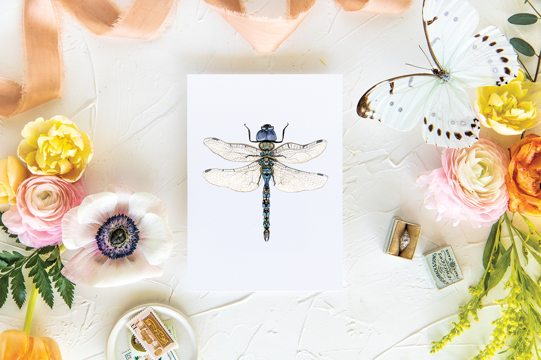 Dragonfly Folded Card | Pre-Order