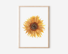 Load image into Gallery viewer, Sunflower Print | Pre-Order
