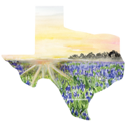 Texas Collection Sticker
