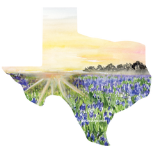 Load image into Gallery viewer, Texas Collection Sticker
