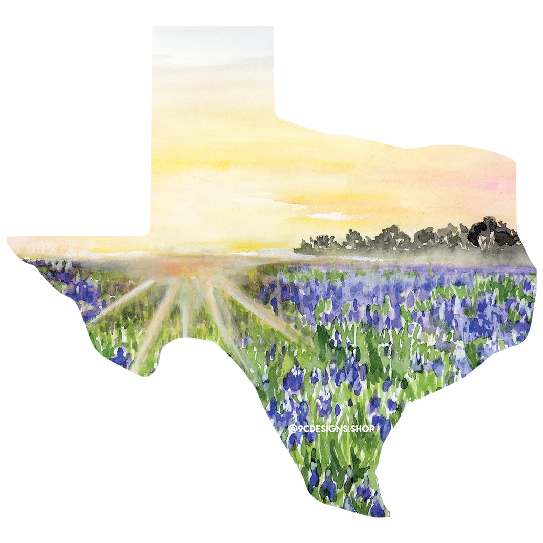 Texas Collection Sticker