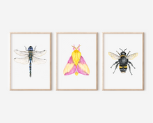 Load image into Gallery viewer, Pink Moth Art Print | Pre-Order
